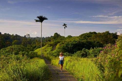 Element Bali Ubud