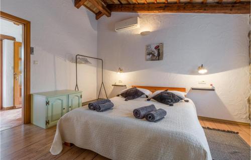 Lovely Apartment In Cerovlje With Wifi in Cerovlje