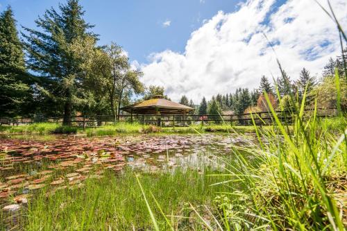 Redwood Meadows RV Resort - image 11