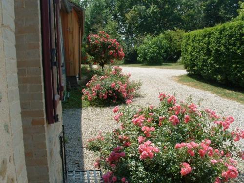 Gîte Saint-Mars-sous-Ballon, 4 pièces, 6 personnes - FR-1-410-161