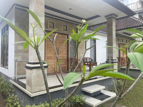 Shipwreck Point Inn in Nusa Lembongan