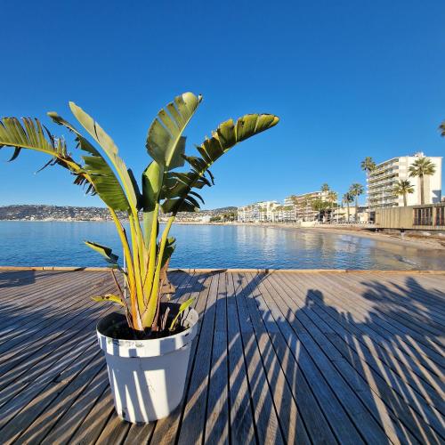 Magnifique Studio 2 Pers, Plage A 120 Metres - Antibes