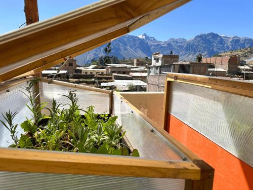 Homestay Pachamama in Cabanaconde