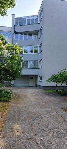 One-Bedroom Apartment image 6