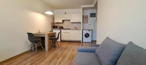 One-Bedroom Apartment image 1