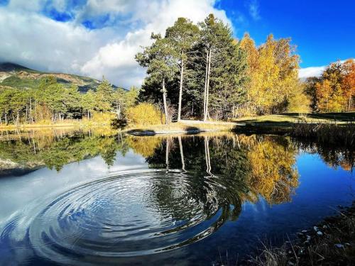 Chalet confort • Barcelonnette