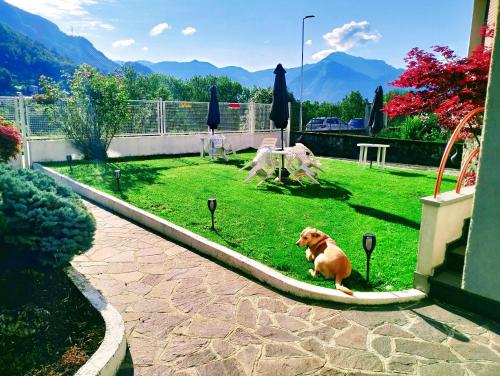 哈里特别墅住宿加早餐旅馆