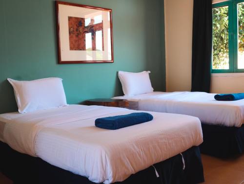 papaya resort papaya resort