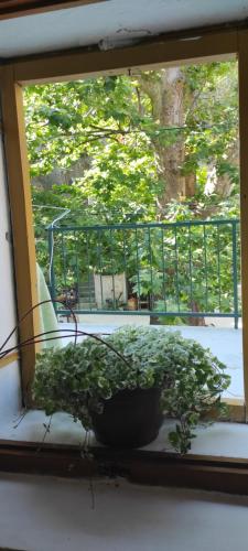 Apartman Branka