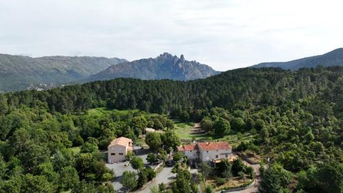 Les Hauts de Cavanello - Chambre d'hôtes - Zonza