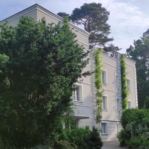 Fryderyk, Krynica Morska