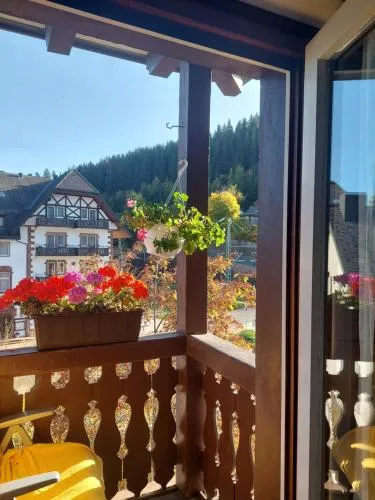 Ferienwohnung Schwarzwald in Titisee-Neustadt, Deutschland