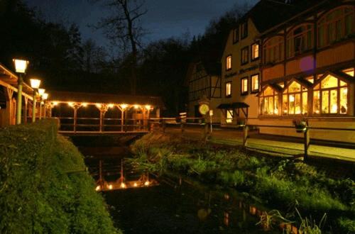 外部景觀, Waldhotel Pfarrmühle (Waldhotel Pfarrmuhle) in 艾森貝爾格