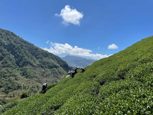 Chia Yuen Homestay in Zhuqi Township