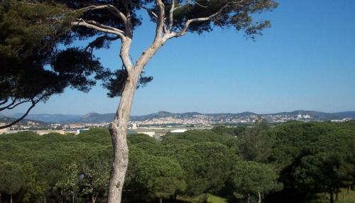 Studio proche port et plages, piscine