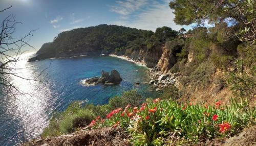 Studio proche port et plages, piscine