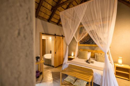 Lindiwe Safari Lodge - Hoedspruit