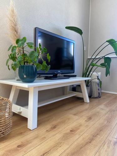  Guesthouse Katwijk aan Zee in Katwijk aan Zee