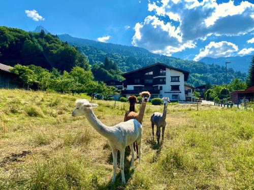 AlpenApart Montafon - Haus Engstler Schruns