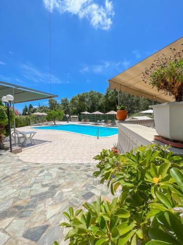  Amazona Apartments and Studios in Sparta