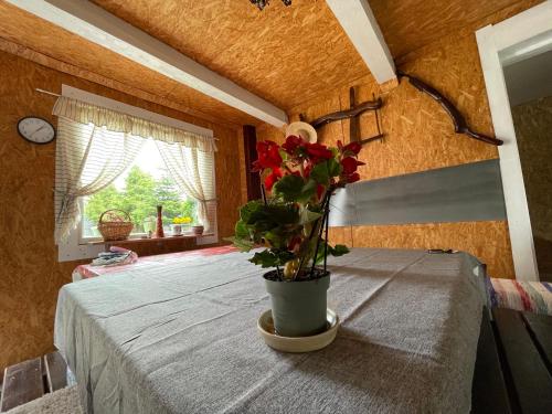 Casa de oaspeți Cristina (Casa de oaspeti Cristina) in เมอร์คูเรียคูก