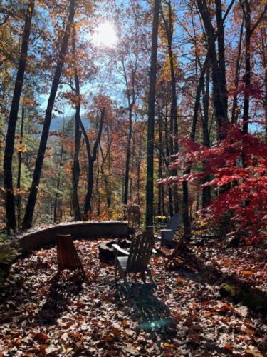 Bear Crossing-Exciting Adventure Ahead! in Hendersonville, USA