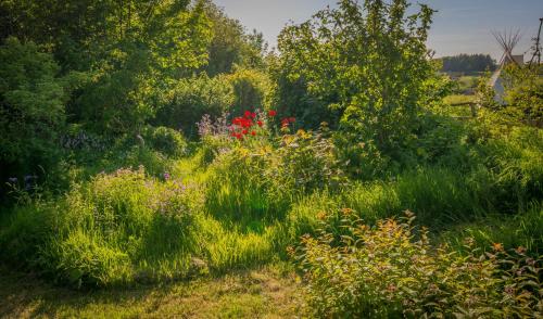 The Rose Barn, Ysgubor y Rhosyn