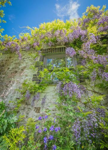 The Rose Barn, Ysgubor y Rhosyn