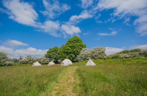 The Rose Barn, Ysgubor y Rhosyn