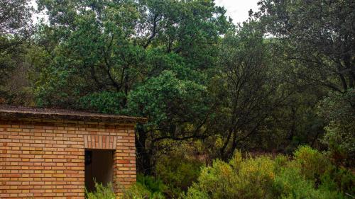 Casa Rural Valle de los Molinos