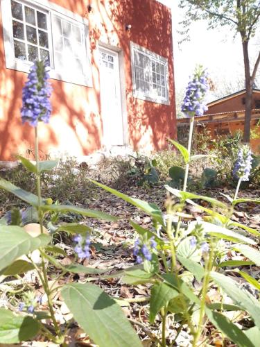 Casita rodeada de bosque