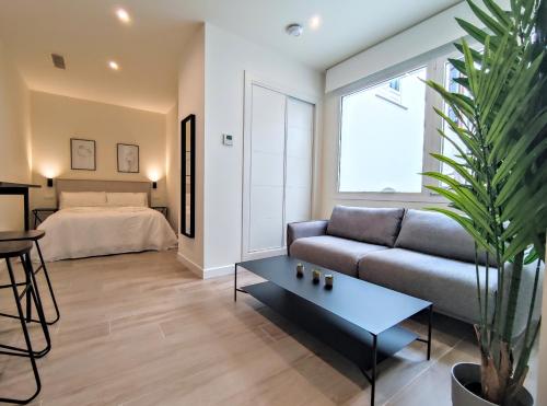 EDIFICIO DUQUE Room Type - Studio Apartment