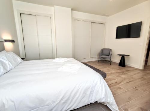 EDIFICIO DUQUE Room Type - One-Bedroom Apartment