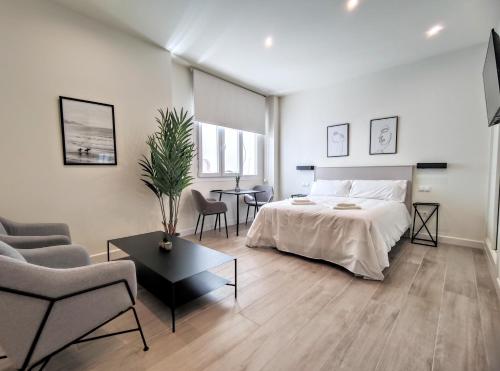 EDIFICIO DUQUE Room Type - Studio Apartment