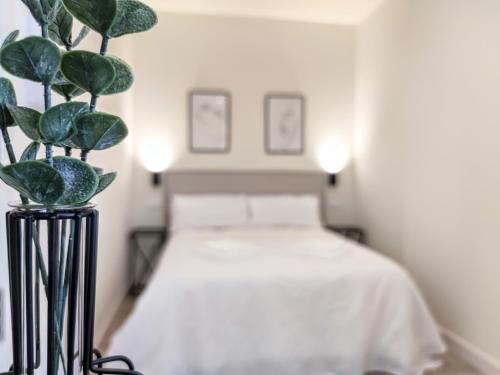 EDIFICIO DUQUE Room Type - Studio Apartment