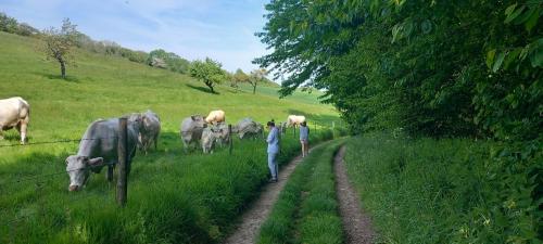Sports un aktivitātes, La Croisée des Chemins (La Croisee des Chemins) in Arques La Bataille