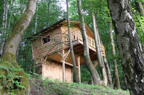 Treehouse Velké Losiny - Accommodation