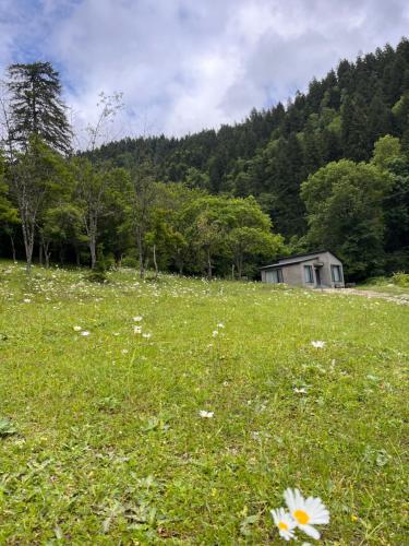 Cozy house in the forest Likani