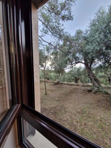OLEA COTTAGE - image 4