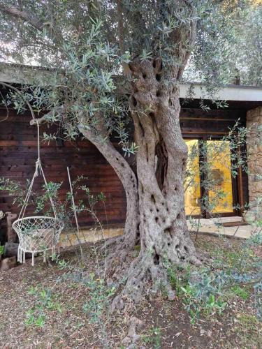 OLEA COTTAGE - image 6