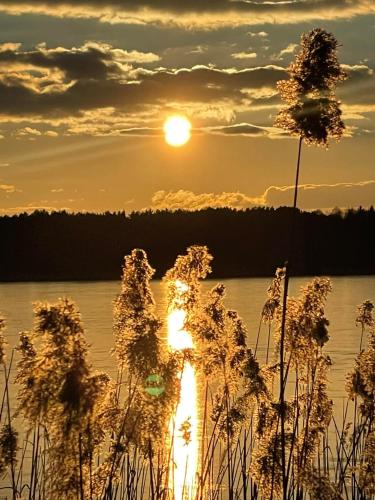 Apartament Green Town Rybno Warmia Mazury