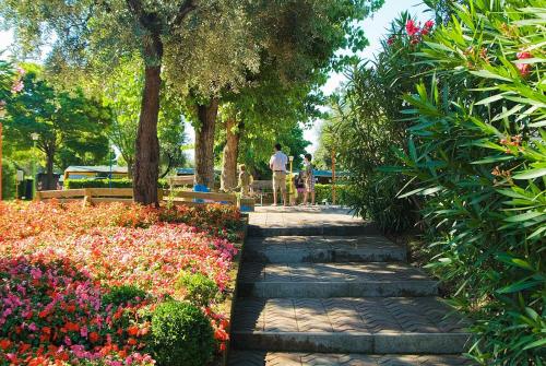 Camping Cisano - San Vito - image 3