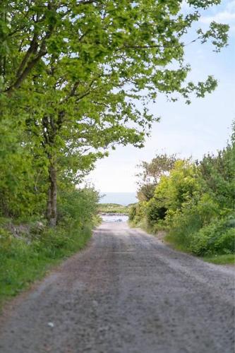 Cozy cottage by the sea south of Varberg