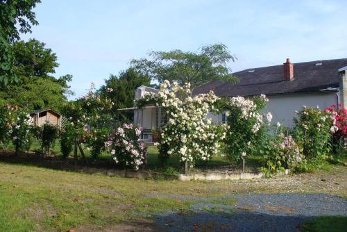 La Maison des Roses in Mareuil-sur-Lay-Dissais