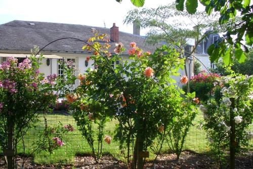 La Maison des Roses in Mareuil-sur-Lay-Dissais