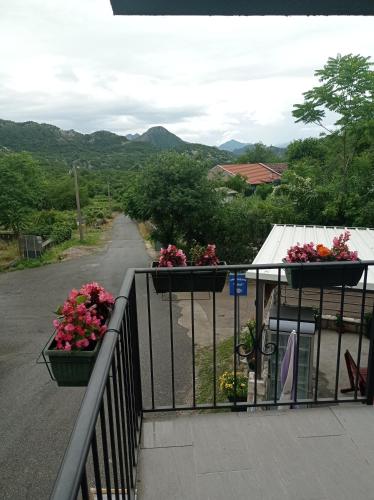 Apartments Nino Skadar lake in Virpazar