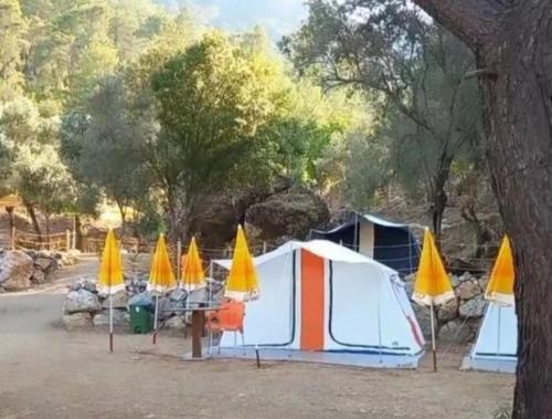 Köyceğiz Sultaniye Camping - Camping - Muğla