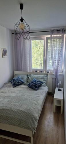 Cosy Apartment w pobliżu Tauron Arena