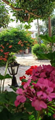  Achilleas Rooms in Syvota