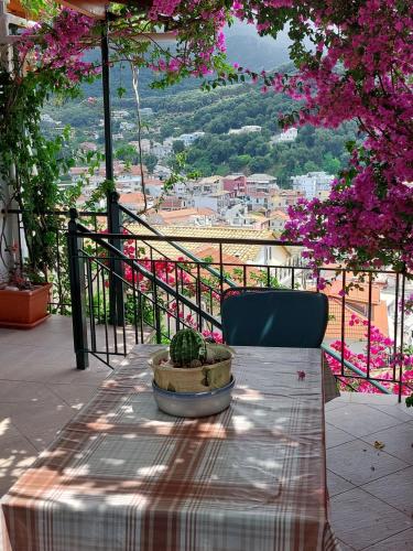 Marthas Studios, Parga (foto 3)